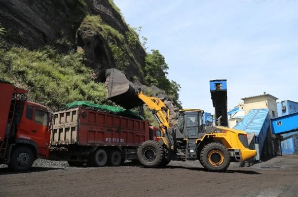 Máy xúc lật Liugong CLG870H