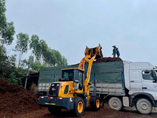 máy xúc lật cần dài gắp gỗ 